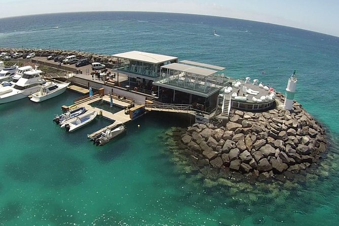 Scuba Diving Baptism in Caleta De Fuste - Discovering Caleta De Fustes Marine Life