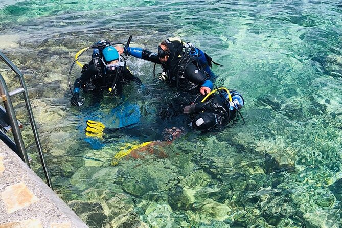 Scuba Diving for Beginners in Pula - Booking and Cancellation Policy