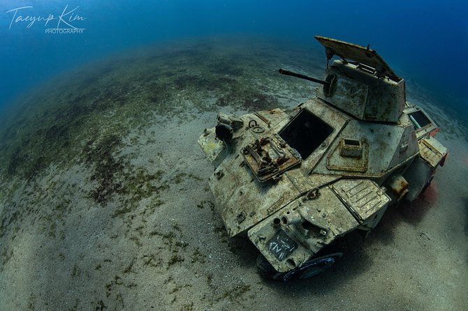 Scuba Diving for Certified Divers - Diving Options for Certified Divers