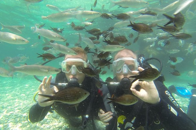 Scuba Diving From Dalyan - Designated Areas for Optimal Visibility