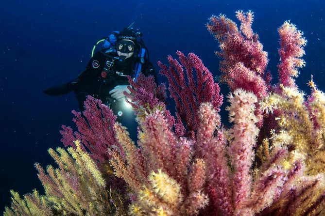 Scuba Diving in Calabria, Italy - Diving Center Location