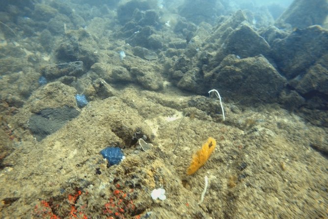 Scuba Diving in Mirissa - Popular Dive Sites