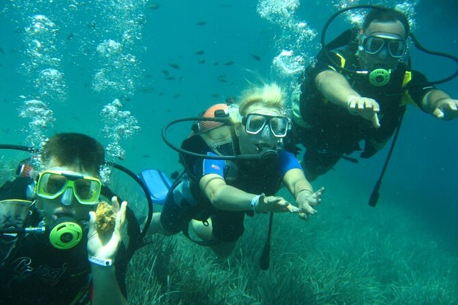 Scuba Diving Tour - Instructor Expertise