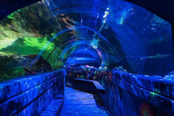 SEA LIFE Brighton Admission Ticket - Highlights and Attractions