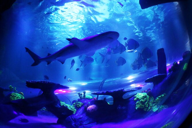 SEA LIFE Konstanz Admission Ticket - Animal Welfare Considerations
