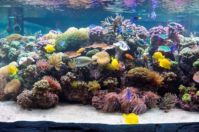 SEA LIFE Speyer Admission Ticket - Visiting With Accessibility