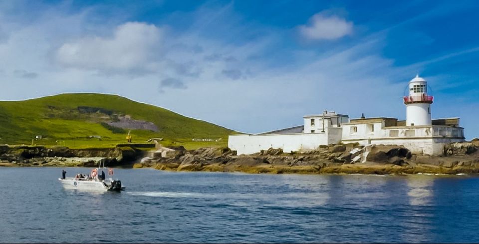 Sea Safari & Adventure : The Valentia Island Experience - Tour Activities