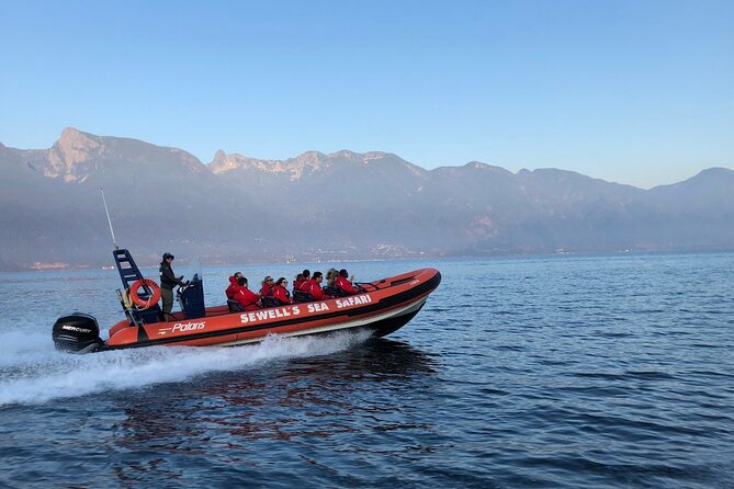 Sea Safari Tour From Vancouver - Safety and Comfort