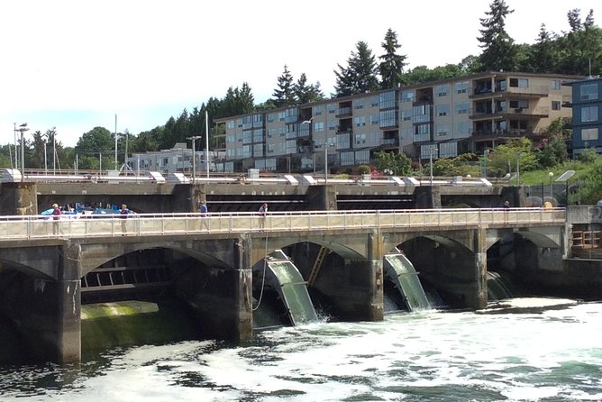 Seattle Ballard Locks, Gas Works Park and Houseboats Tour - Knowledgeable Local Tour Guides