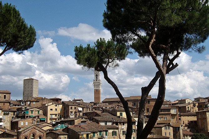Secret Siena Walking Tour - Inclusions and Highlights