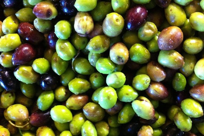 Semi Private Wine and Olive Oil Tour (Transfer & Lunch Incl.) - Preparation and Accessibility
