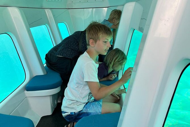 Semi-Submarine: Visit to the Seabed of Porto Bay - Traveler Eligibility and Tour Size