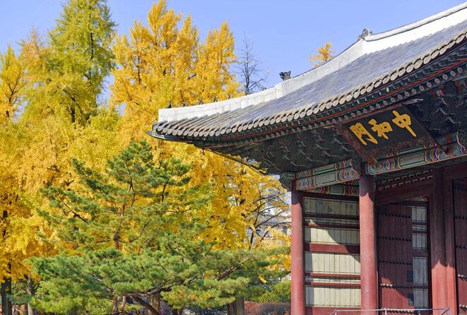 Seoul : Deoksugung Palace Half Day Walking Tour - Highlights of Deoksugung Palace