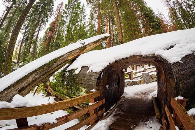 Sequoia National Park Adventure From Tulare - Meeting Point and Logistics