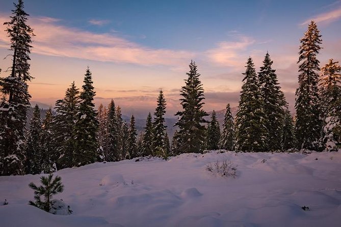 Sequoia National Park Adventure From Tulare - Meeting Point and Start Time