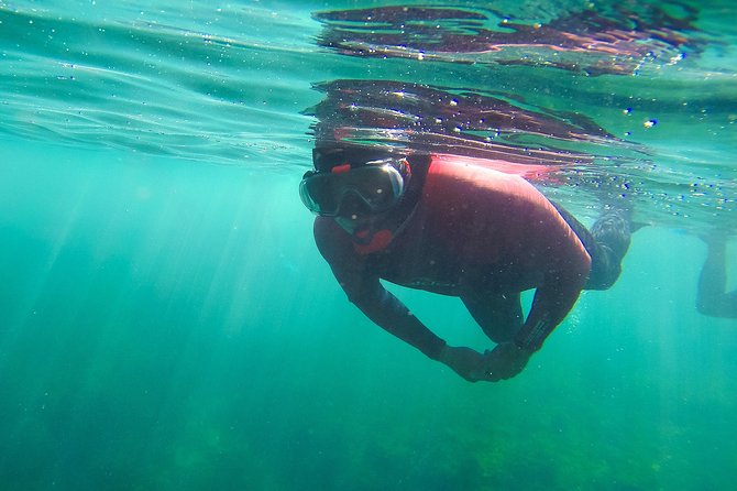 Sesimbra Small-Group Snorkeling Tour  - Setubal District - Participant Requirements