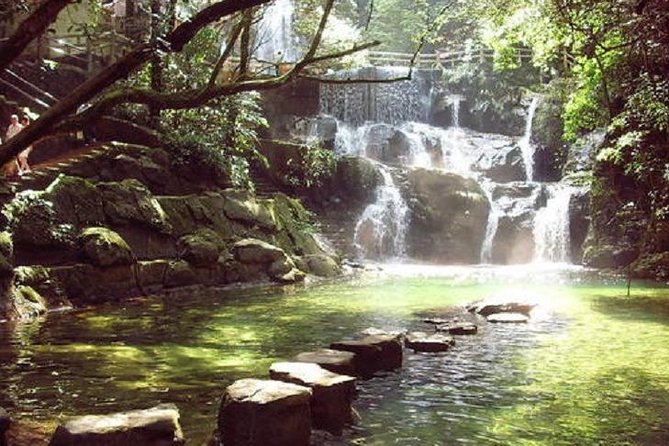 Seven Star Crag and Dinghu Mountain Private Day Tour From Guangzhou - Scenic Experiences and Activities
