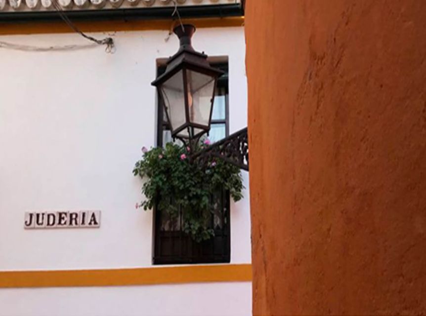 Seville: 1-Hour Walking Tour Barrio De Santa Cruz - Inclusions and Recommendations