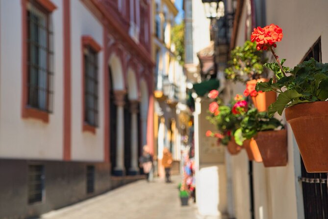 Seville Day Trip With Cathedral Entrance Direct From Malaga - Cathedral and Landmark Exploration