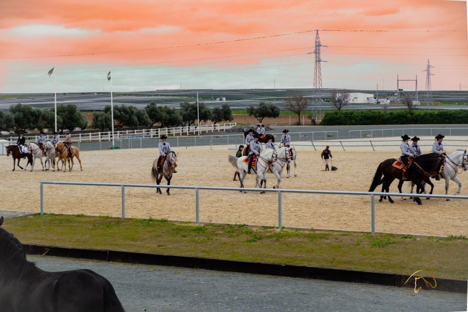 Seville: Horse Show Entry Ticket. Optional Stud Farm Visit - Itinerary and Location