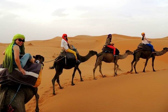 Shared Group Fez to Fez Sahara Tour 2days/1night - Inclusions and Exclusions