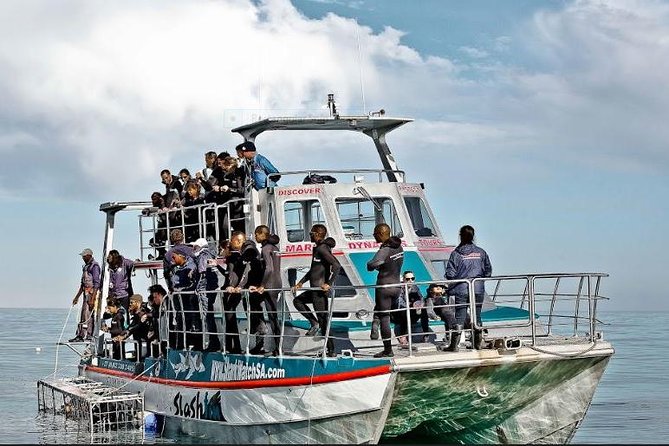 Shark Diving Full Day Guided Return Transfer to Gansbaai From Cape Town - Inclusions and Exclusions