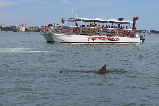 Shark Teeth and Shells, Dolphin and Shelling Tour Boat Clearwater Beach - Customer Reviews