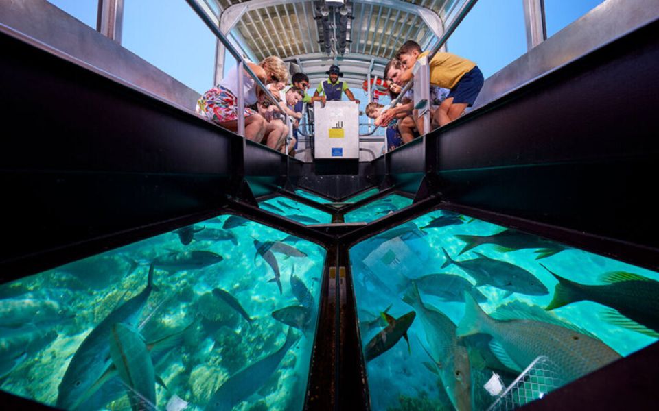 Sharm El-Sheik: Coral Reef Glass-Bottom Boat Tour - Experience Highlights