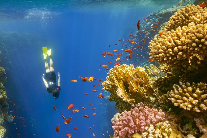 Sharm El Sheikh: Colored Canyon, Blue Hole & Dahab City Tour - Traveler Feedback