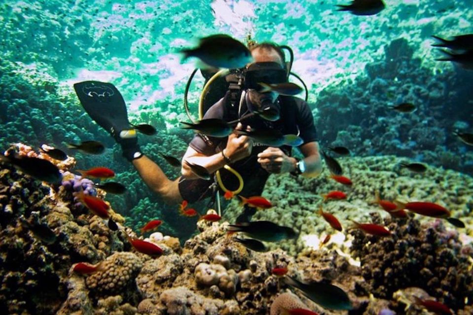 Sharm El Sheikh: Diving Day Trip by Boat at Ras Mohamed - Included Services