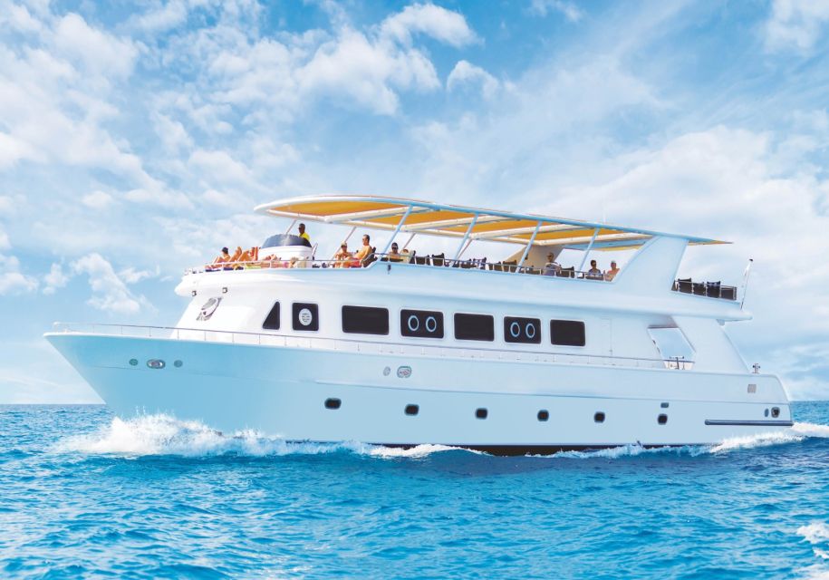 Sharm El-Sheikh: Premium Ras Mohammed & White Island Cruise - Onboard Experience