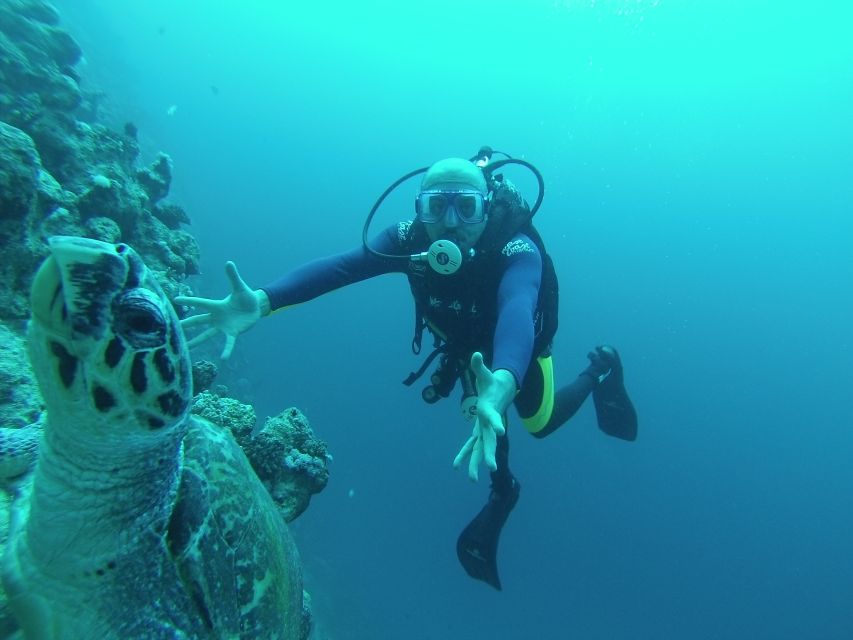 Sharm El Sheikh: Ras Mohamed, White Island, Snorkel & Diving - Daily Itinerary of Activities