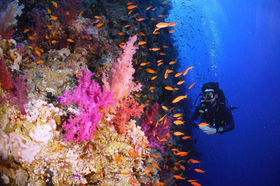 Sharm El Sheikh: Snorkeling at Ras Mohamed & White Island - Detailed Itinerary