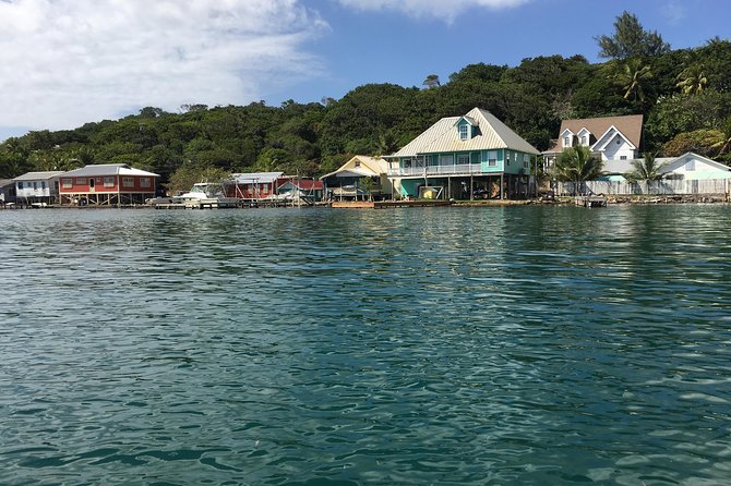 Shore Excursion: Garifuna History With Wildlife and Mangrove Tour - Additional Information