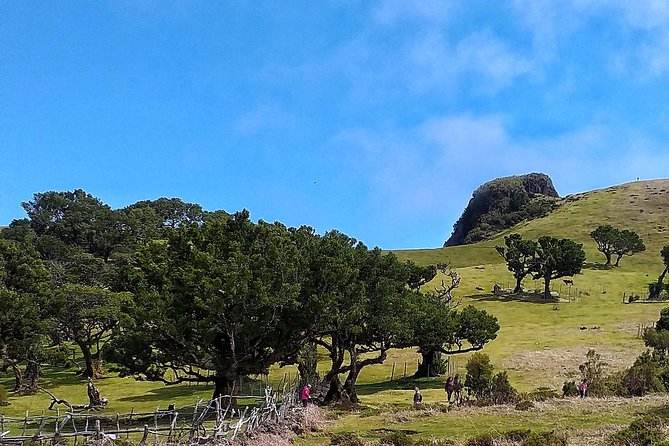 Shore Excursion - Northwest Terraces and Volcanic Pools 4x4 Tour - Inclusions and Amenities