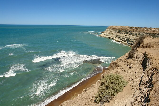 Shore Excursion Peninsula Valdes or Punta Tombo - Private Car - Private Transportation