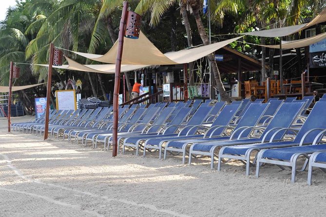 Shore Excursion: Roatan Horseback Ride and West Bay Beach Break - Accessibility and Participation