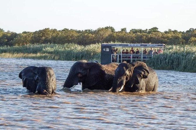 Shoreline Hippo and Crocodile Boat Cruises, Isimangaliso Wetland Park - Pricing and Cancellation Policy