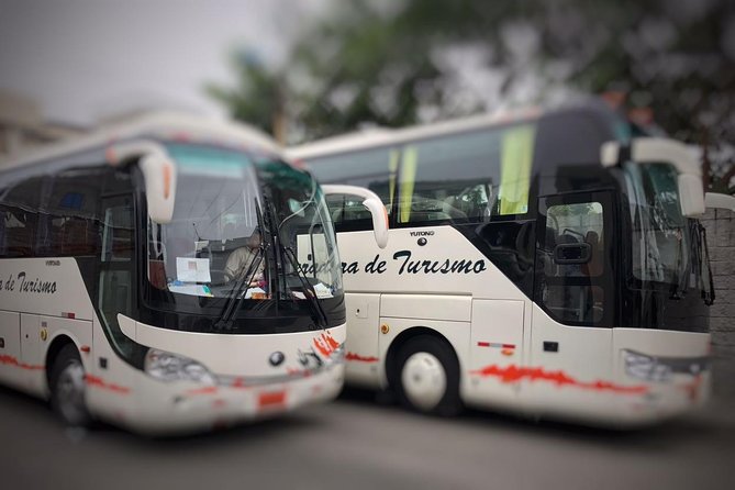 Shuttle Airport - Downton Hotels or Return - Passenger Reviews and Feedback