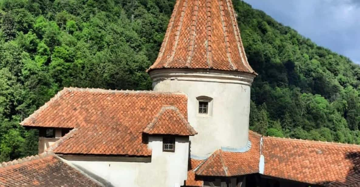 Sibiu: Draculas Castle and Dino Park Day Trip - Highlights of the Day