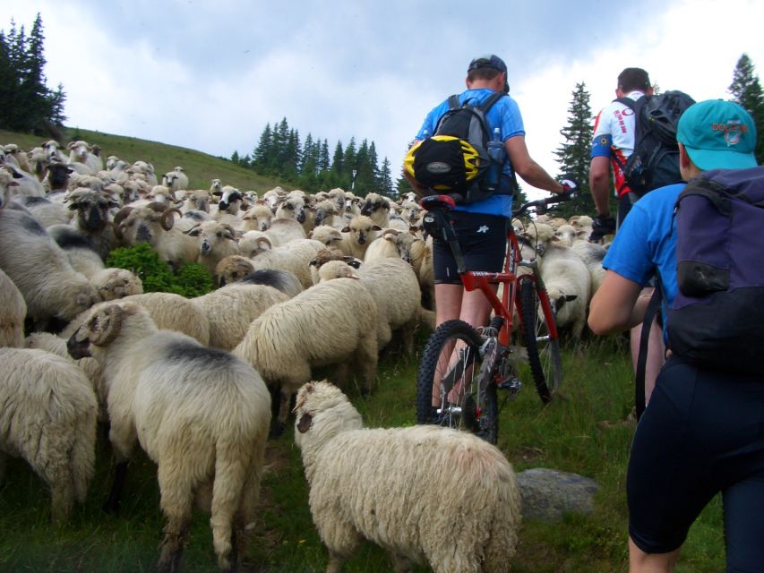 Sibiu: Guided Highlights E-bike Tour - Detailed Itinerary