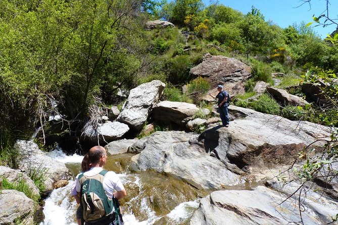 Sierra Nevada Day Trip From Granada. Small Group up to 8 Pax - Inclusions and Logistics