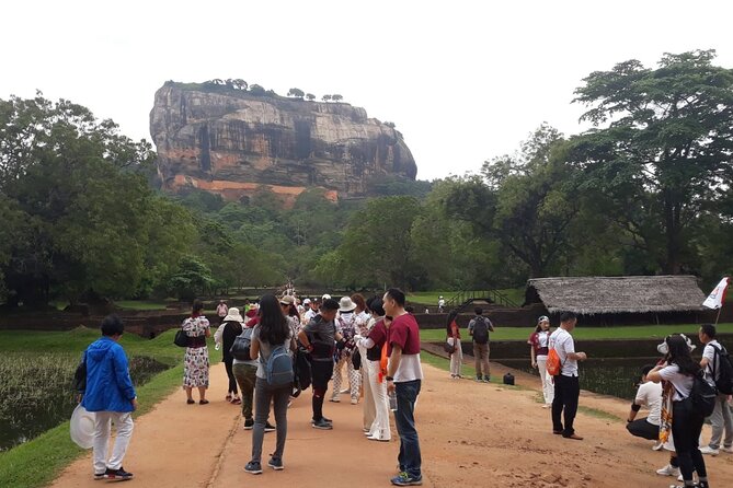 Sigiriya, Dambulla and Minneriya National Park Private Tour In - Special Offers and Pricing