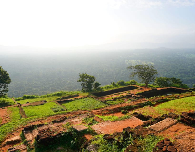 Sigiriya Rock and Minneriya Safari With Elephant Sighting - Main Highlights