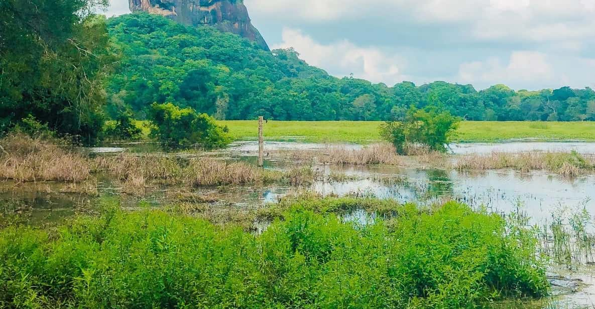 Sigiriya Rock Fortress Day Tour - Itinerary and Activities