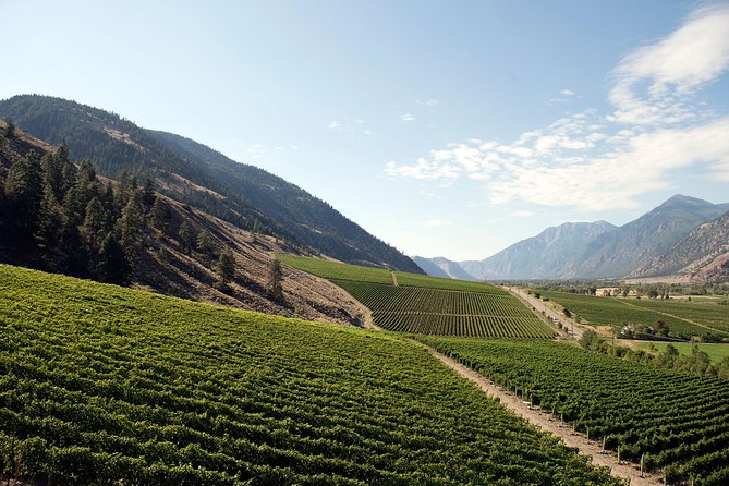 Similkameen Valley Wine Tour - Classic - 4 Wineries - Booking Information