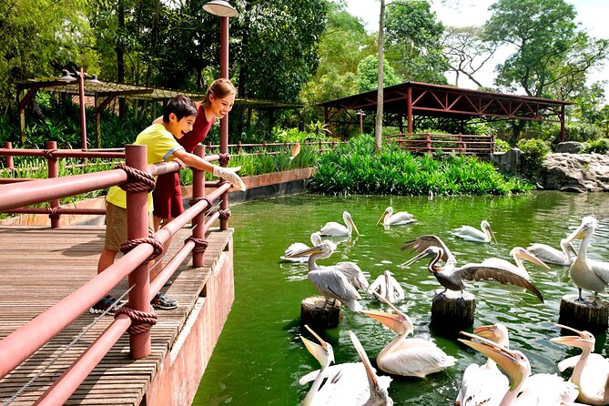 Singapore Bird Paradise & Zoo Full Day (Ticket & Transfer ) - Accessibility Features