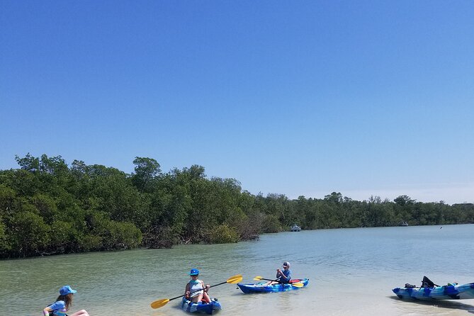 Single Kayak Rental on Big Hickory Pass - Rental Times and Viewing Opportunities