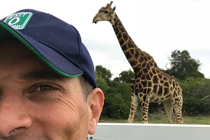 Skip the Line: 2-Hour Guided Game Drive at Kragga Kamma Game Park Ticket - Pricing and Ticket Details