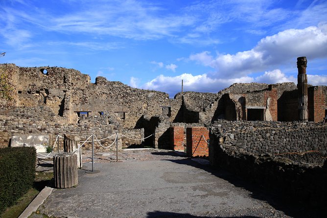 Skip-the-Line Exclusive Private Ancient Pompeii & Vesuvius Volcano Full Day Tour - Traveler Experiences